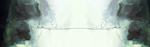 热带树叶banner