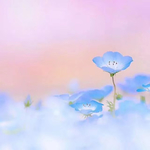 自然风景背景画面