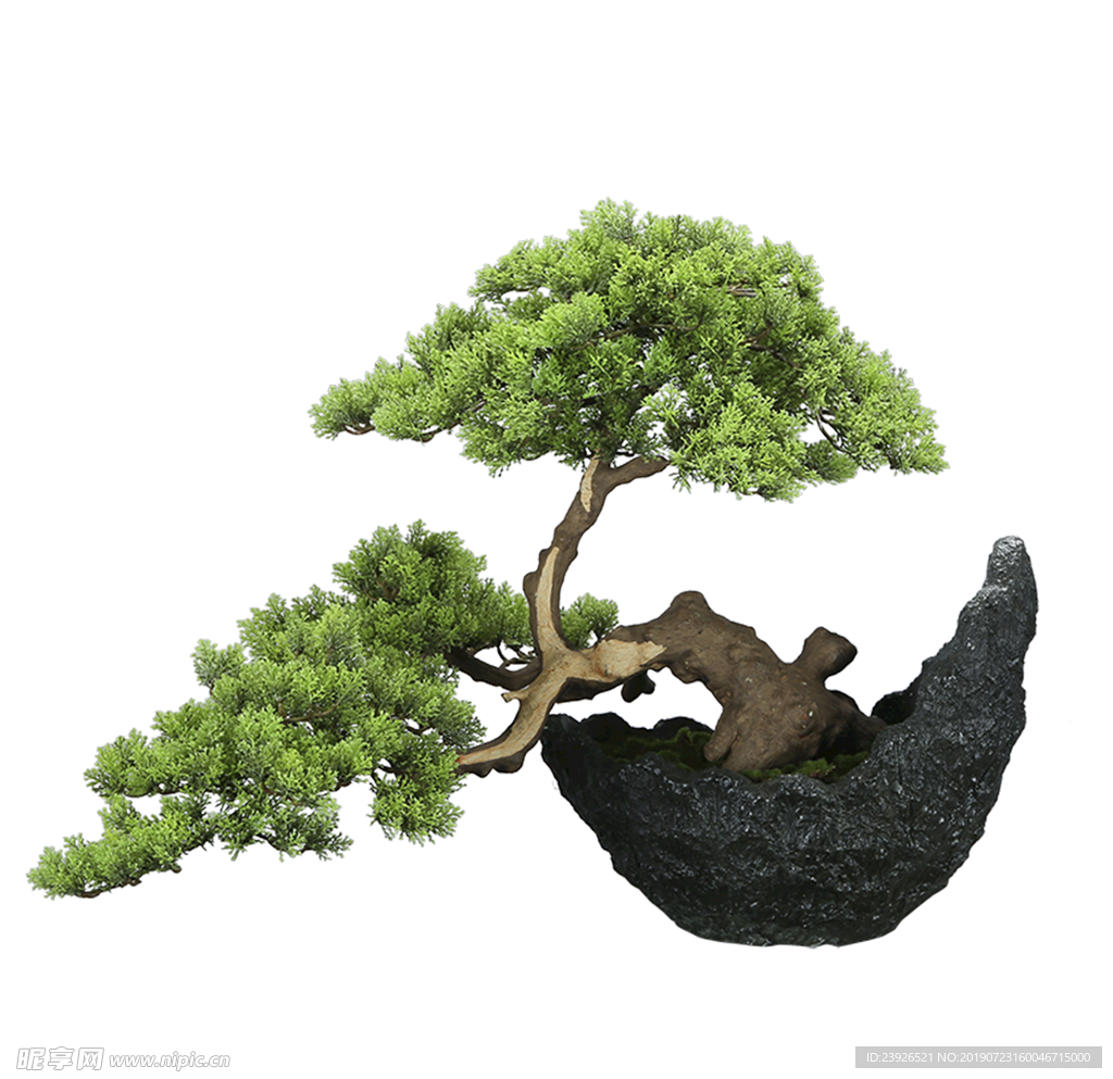 绿植盆栽