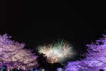 烟花