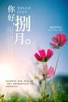 鲜花八月你好海报