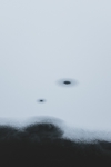 水墨