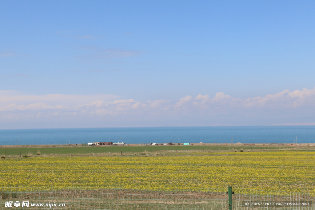 花海