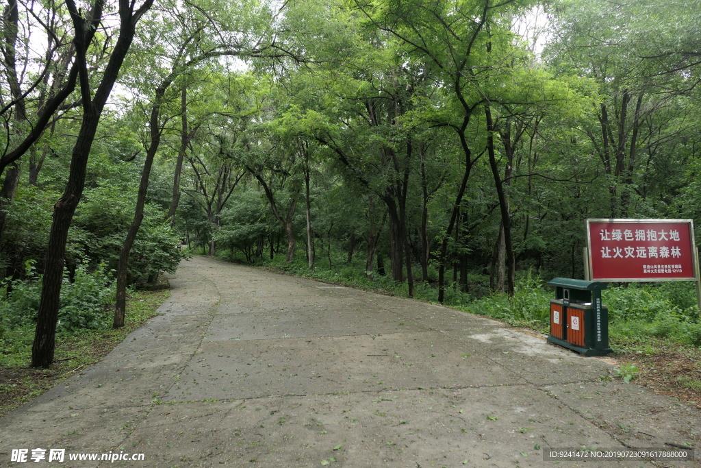 沈阳森林公园内景山路