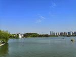 莲湖公园