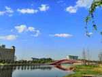 新河