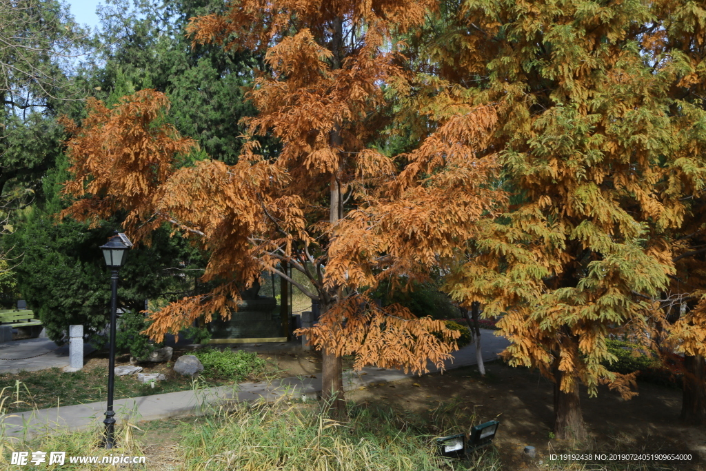 中山公园秋韵