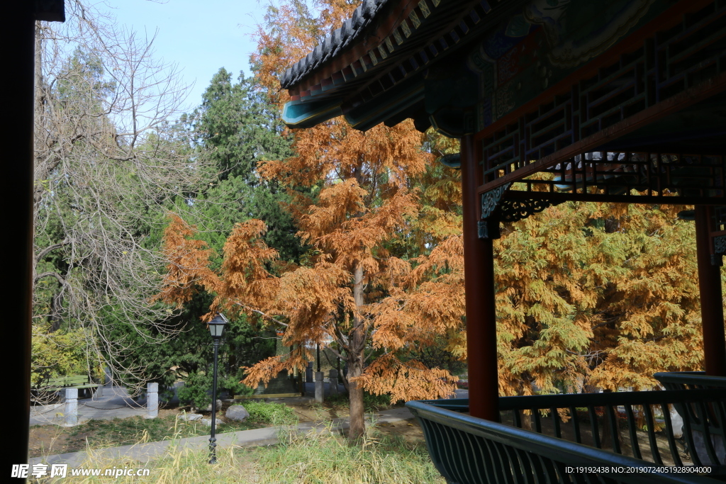 中山公园秋韵