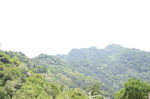 风景