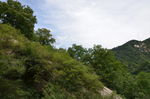 风景