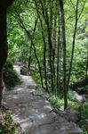 风景