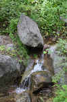小溪