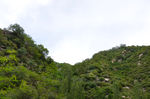 风景