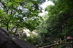 风景