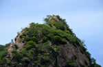 风景