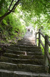石路