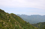 风景