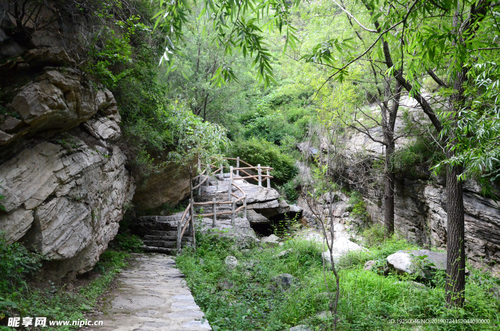 风景