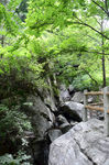 风景