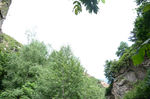 风景