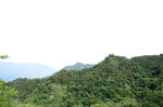 风景