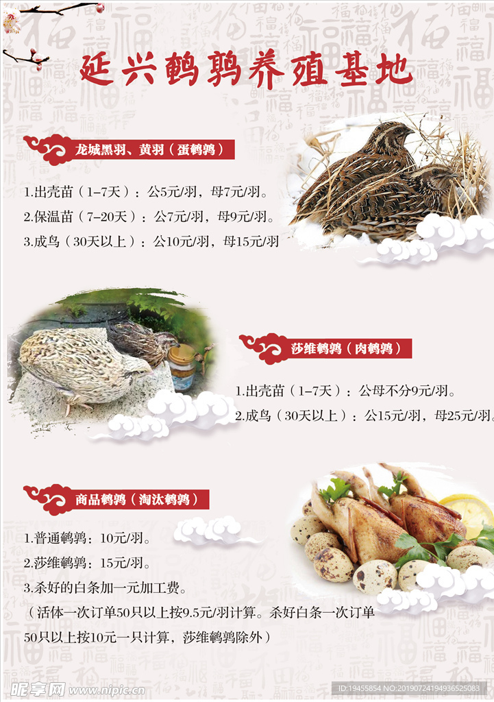 鹌鹑养殖基地