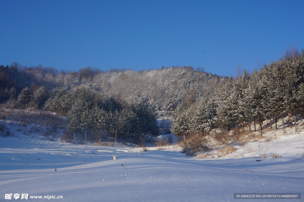 东北雪山