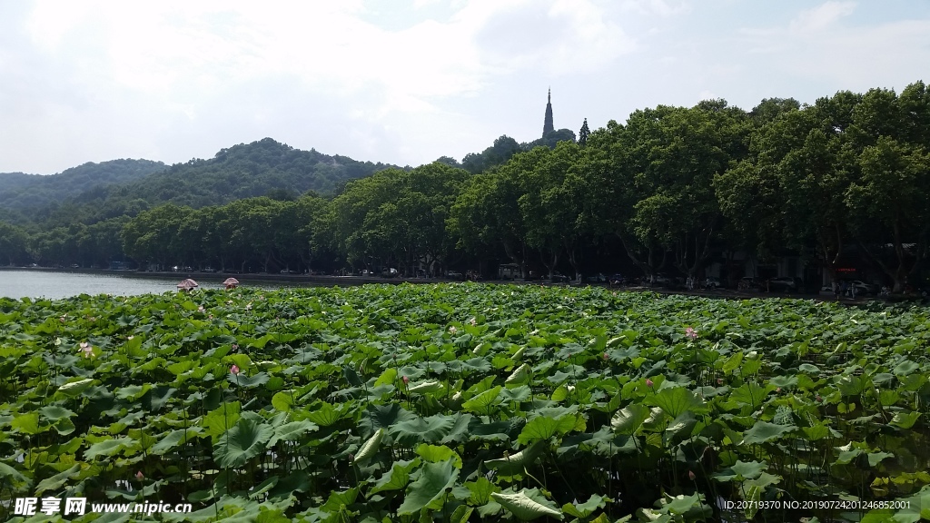 西湖