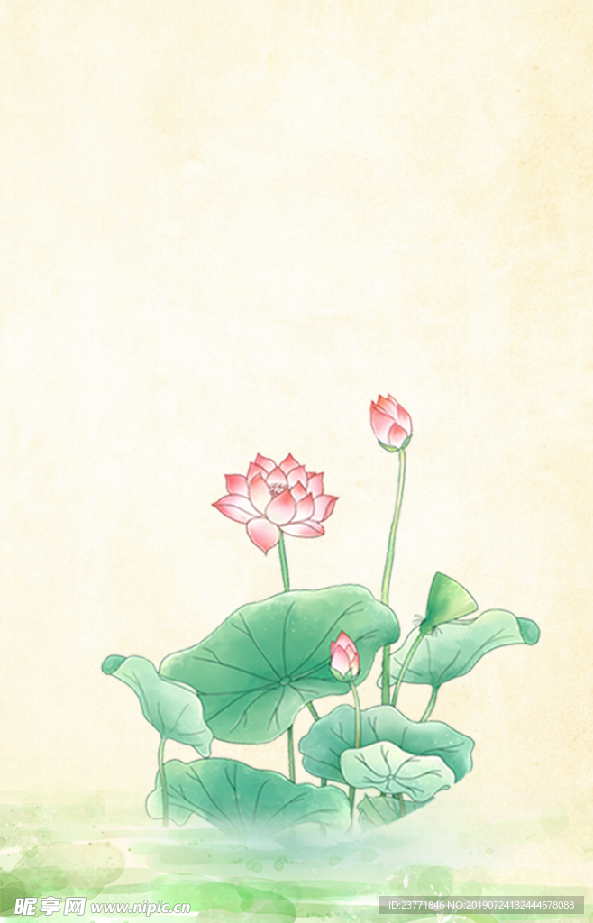 荷花背景