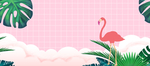 火烈鸟banner