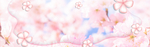 花朵背景