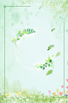绿色树叶背景