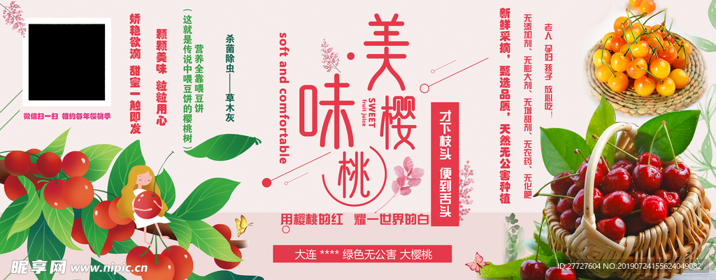 大连大樱桃微信公众号封面