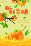 新鲜蜜桔