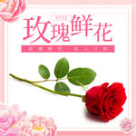 简约鲜花园艺玫瑰鲜花 主图