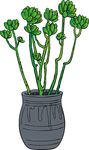 花盆