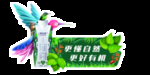 特仑苏插卡
