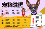 宠物洗护