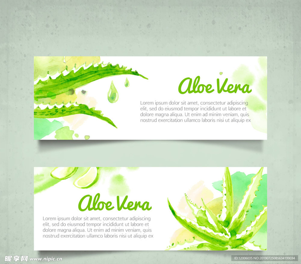2款彩绘绿色芦荟banner
