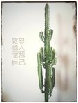 龙骨