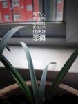 盘载