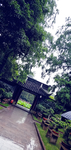 亭子  树林  树木 绿色