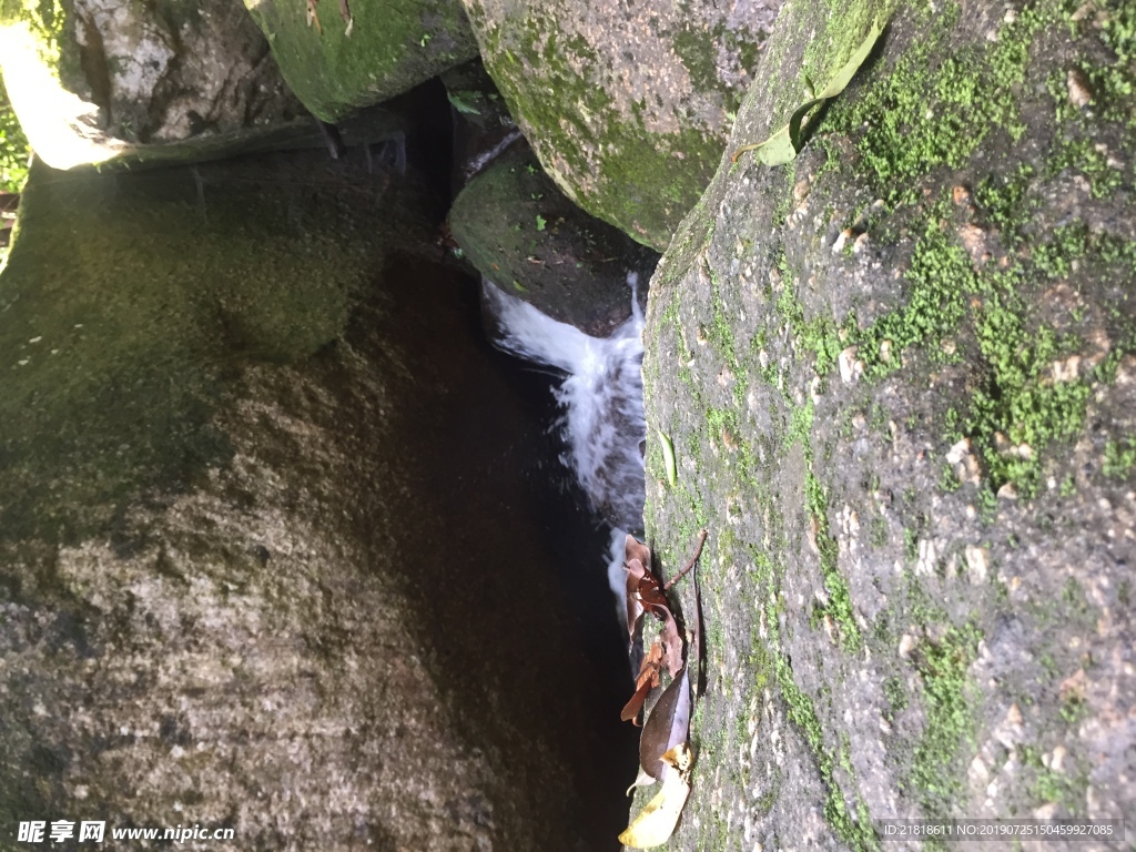 岩石 枯叶 溪水