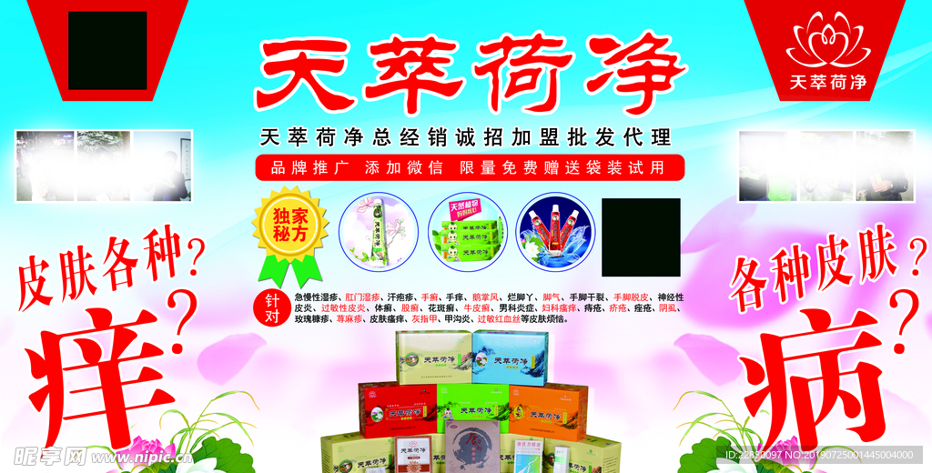 天萃 荷净 海报
