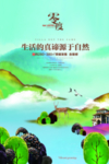 高端房地产开盘海报