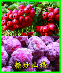 板栗  山楂灯箱
