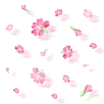 花瓣