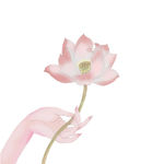 手持莲花