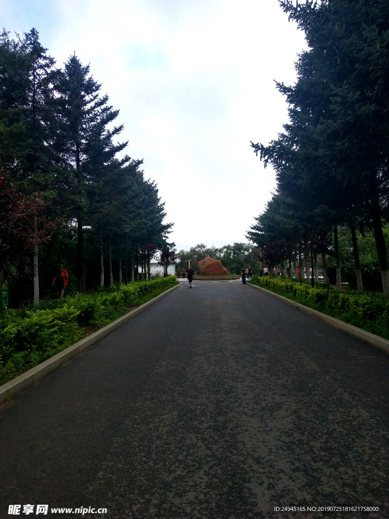 道路公园行