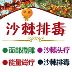沙棘排毒排头图